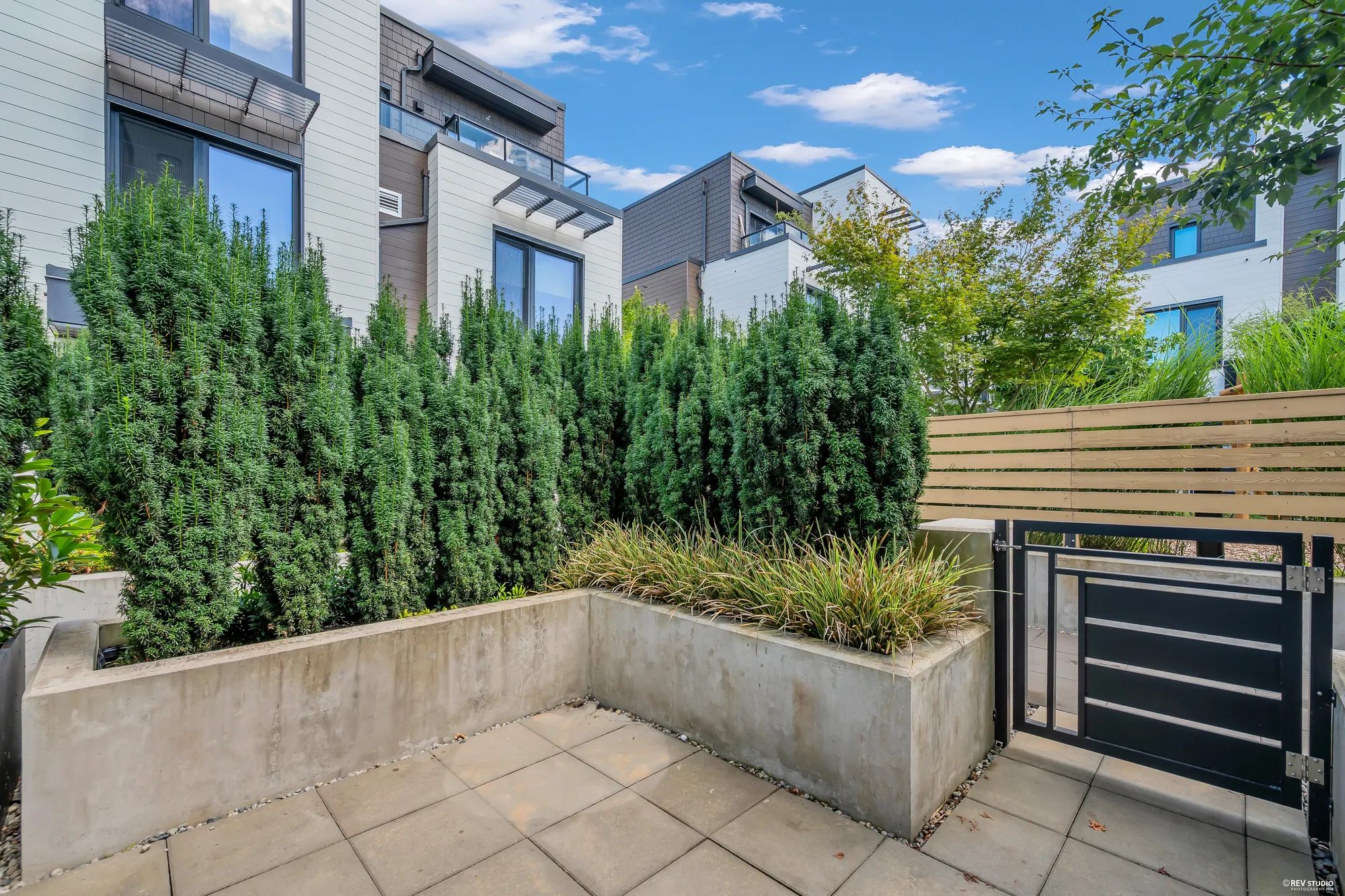 The front patio: concrete pavers, an L-shaped concrete planter of grasses, the steel gate to the walkway, yew hedges and a slatted timber fence