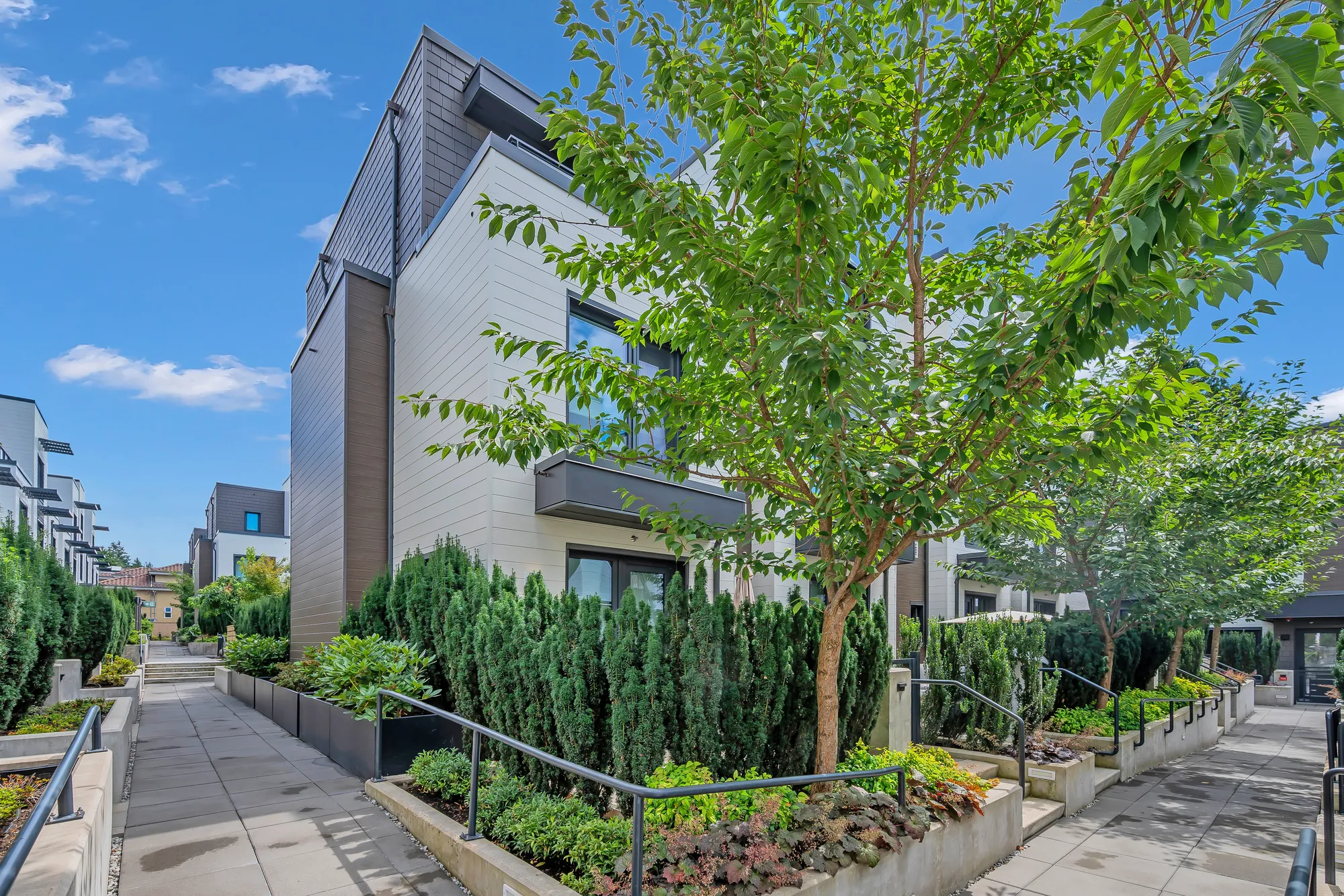 A paved walkway along the side of the building: a young tree, yew hedges and planting in raised concrete beds, steel handrails, more townhomes beyond